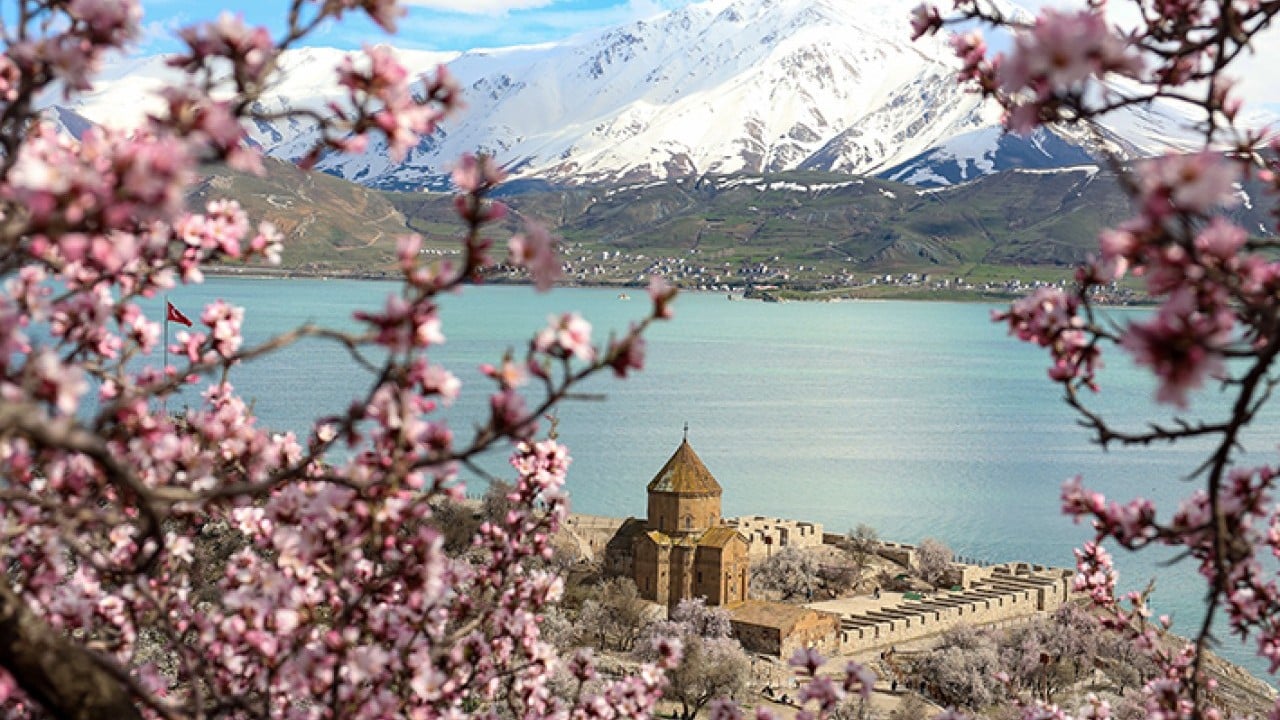 Foto - Akdamar Adası renklendi Kar ve badem çiçeklerinin buluşması