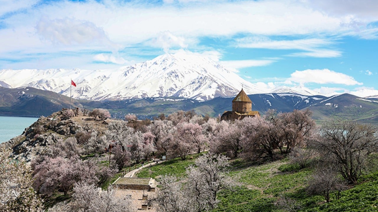 Foto - Akdamar Adası renklendi Kar ve badem çiçeklerinin buluşması