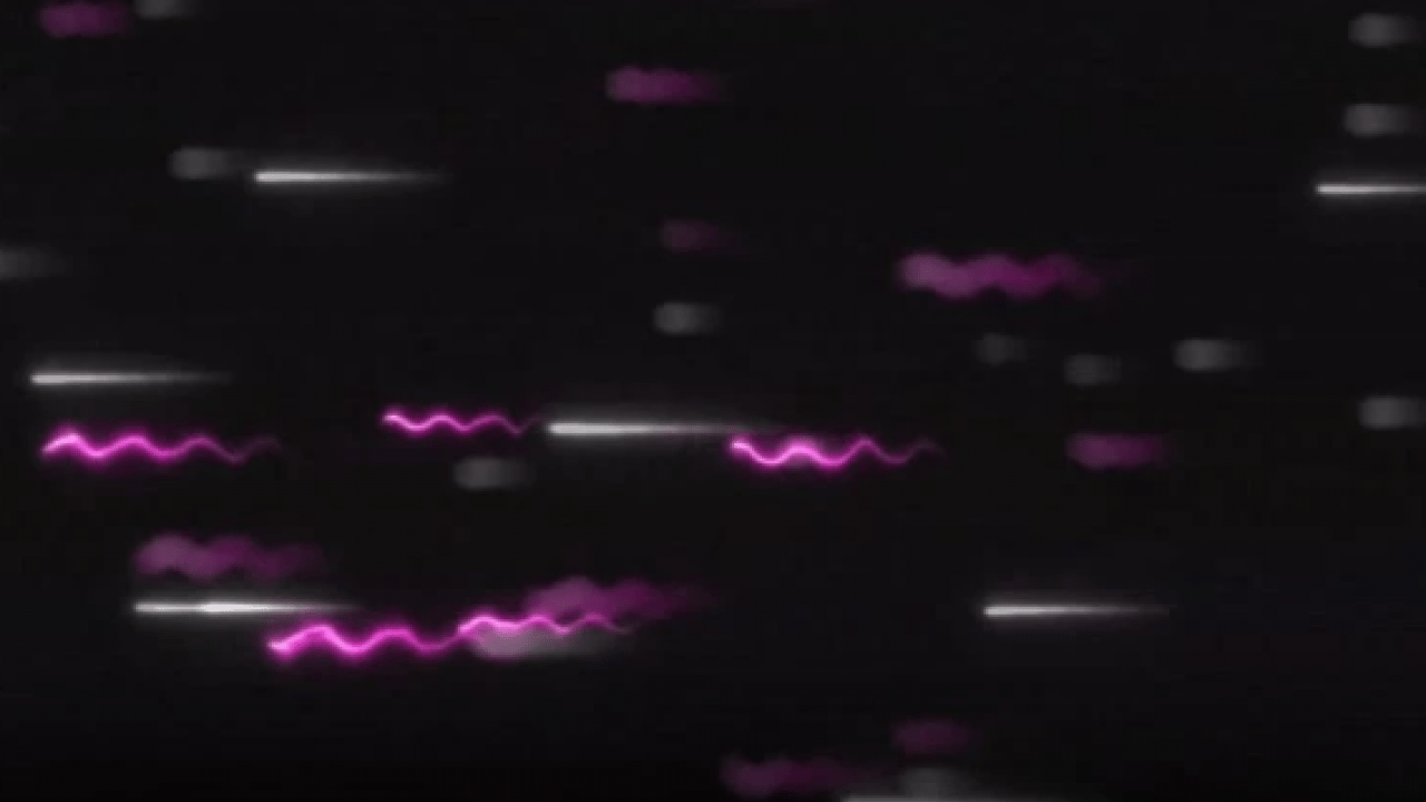 Foto - Akdeniz’de keşfedildi! Dünya dışından fırlatılmış