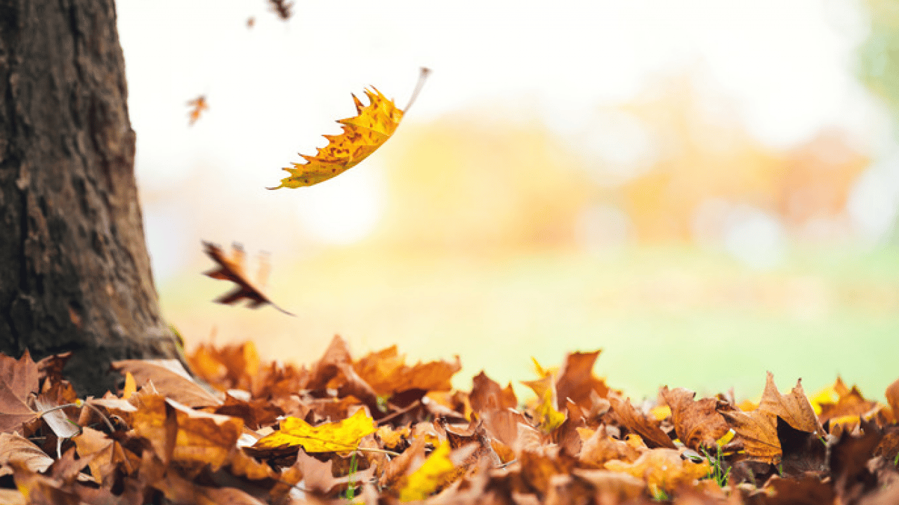 Foto - Akıl almaz 12 Ağustos tahmini: 7 saniyede 40 milyon kişi ölecek!