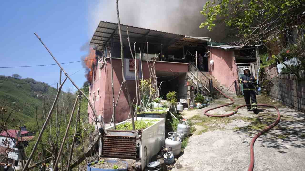 Foto - Akıllara durgunluk verdi: Yine yüce Kur’an-ı Kerim yine mucize