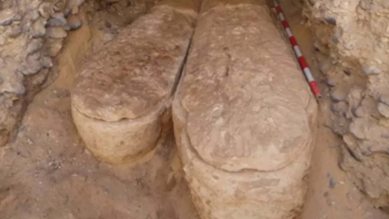 Foto - Ağızlarından altın dil çıktı! Nedeni çok şaşırttı!