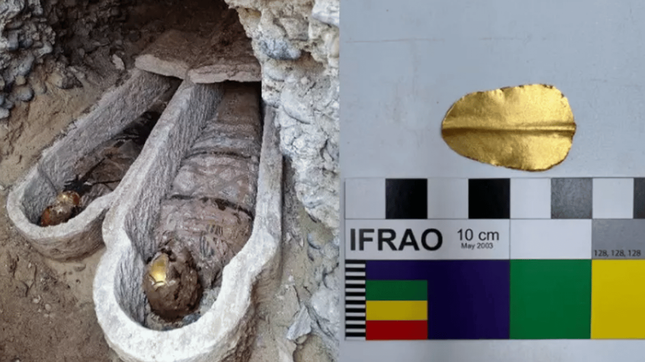 Ağızlarından altın dil çıktı! Nedeni çok şaşırttı!