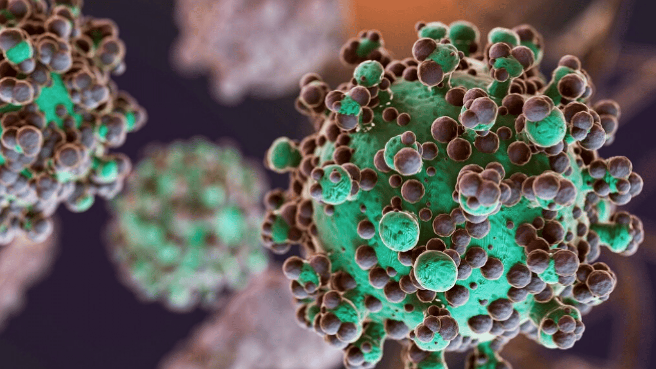 Foto - Akıllarda tek soru işareti var bu arada... Sıradan bir nezle sanılıyor ama hastanelik ediyor!