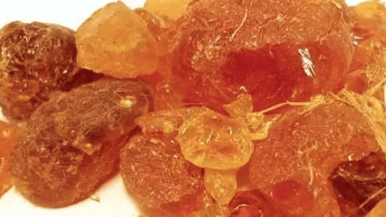 Foto - Aklınıza gelebilecek her hastalığa faydası var! Konuyla ilgili uzman isimden heyecanlandıran haber geldi