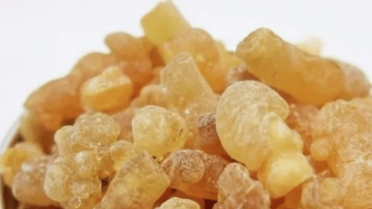 Foto - Aklınıza gelebilecek her hastalığa faydası var! Konuyla ilgili uzman isimden heyecanlandıran haber geldi