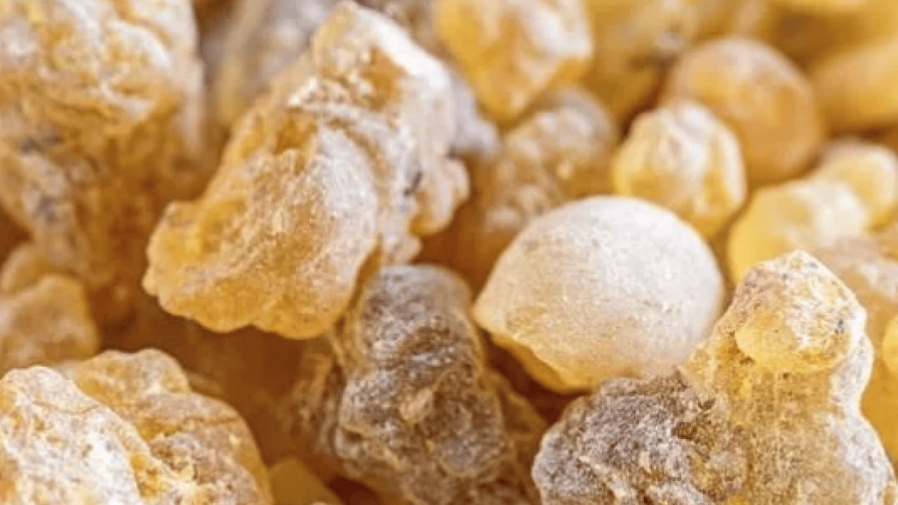 Foto - Aklınıza gelebilecek her hastalığa faydası var! Konuyla ilgili uzman isimden heyecanlandıran haber geldi