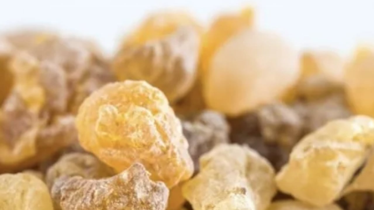 Foto - Aklınıza gelebilecek her hastalığa faydası var! Konuyla ilgili uzman isimden heyecanlandıran haber geldi