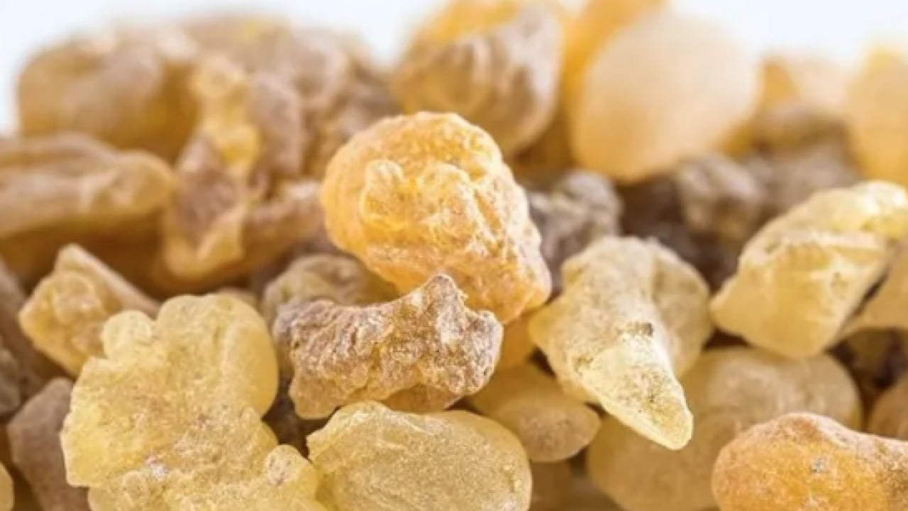 Foto - Aklınıza gelebilecek her hastalığa faydası var! Konuyla ilgili uzman isimden heyecanlandıran haber geldi