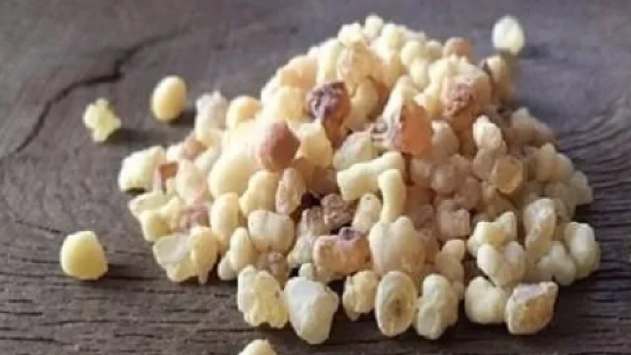 Foto - Aklınıza gelebilecek her hastalığa faydası var! Konuyla ilgili uzman isimden heyecanlandıran haber geldi