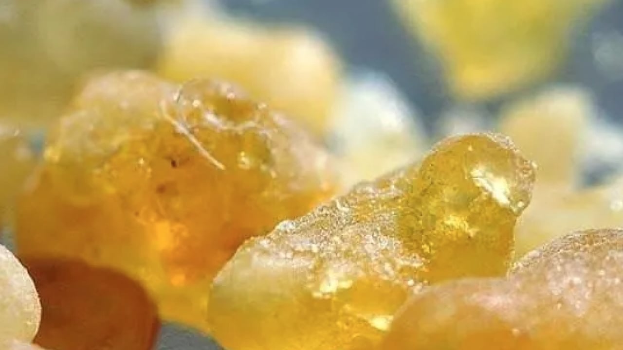 Foto - Aklınıza gelebilecek her hastalığa faydası var! Konuyla ilgili uzman isimden heyecanlandıran haber geldi