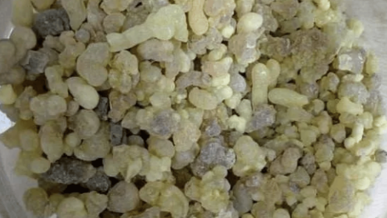 Foto - Aklınıza gelebilecek her hastalığa faydası var! Konuyla ilgili uzman isimden heyecanlandıran haber geldi