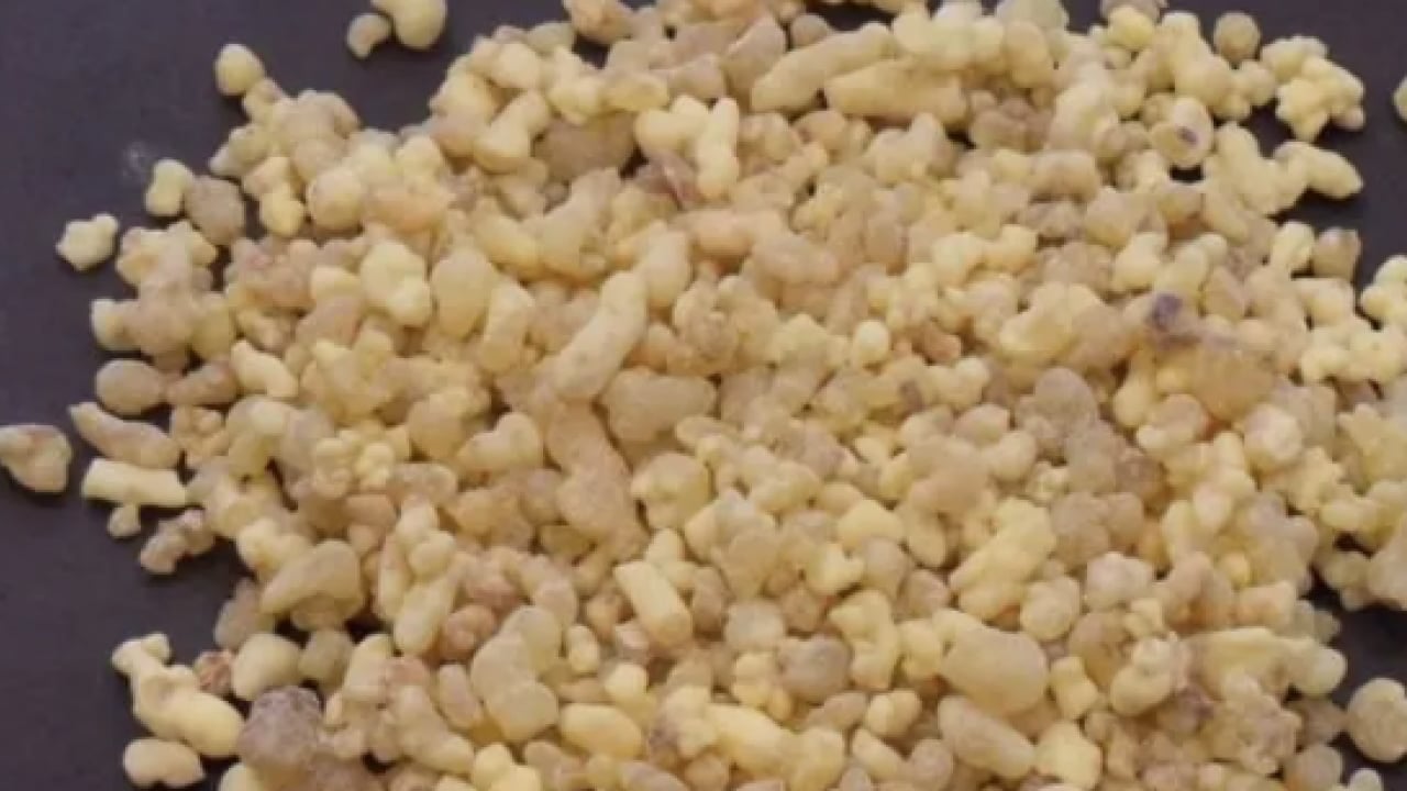 Foto - Aklınıza gelebilecek her hastalığa faydası var! Konuyla ilgili uzman isimden heyecanlandıran haber geldi