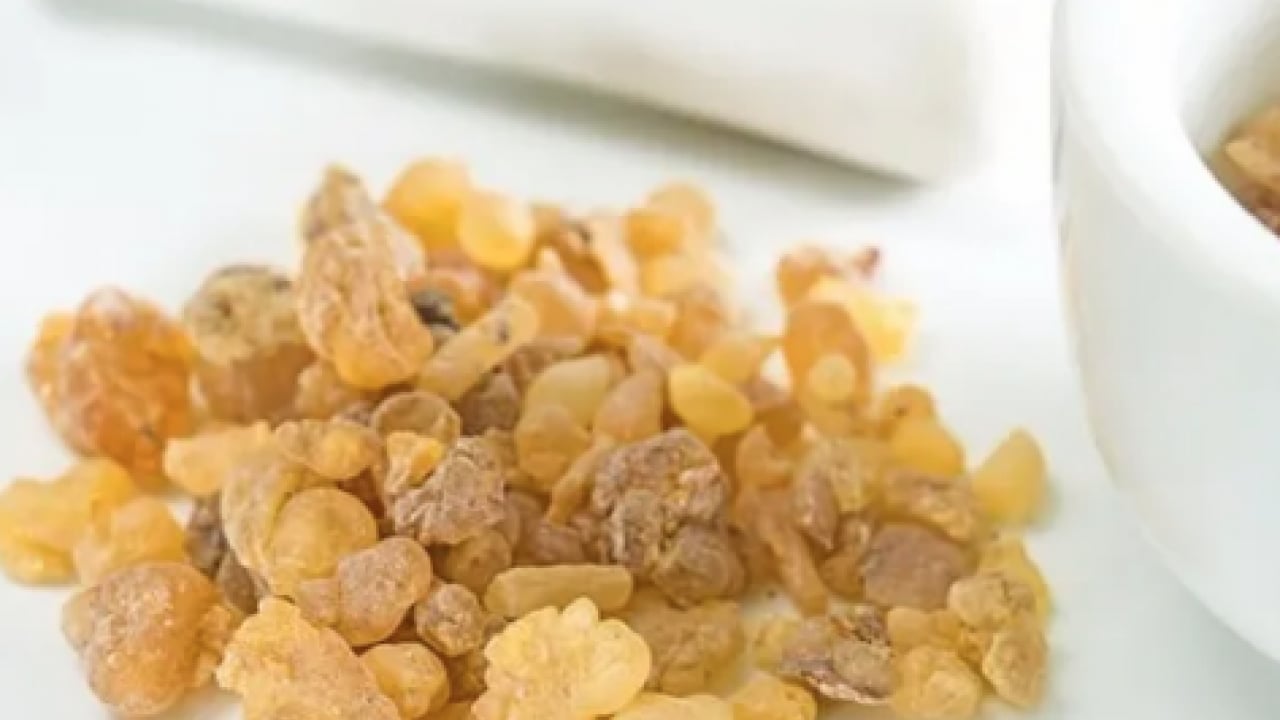 Foto - Aklınıza gelebilecek her hastalığa faydası var! Konuyla ilgili uzman isimden heyecanlandıran haber geldi