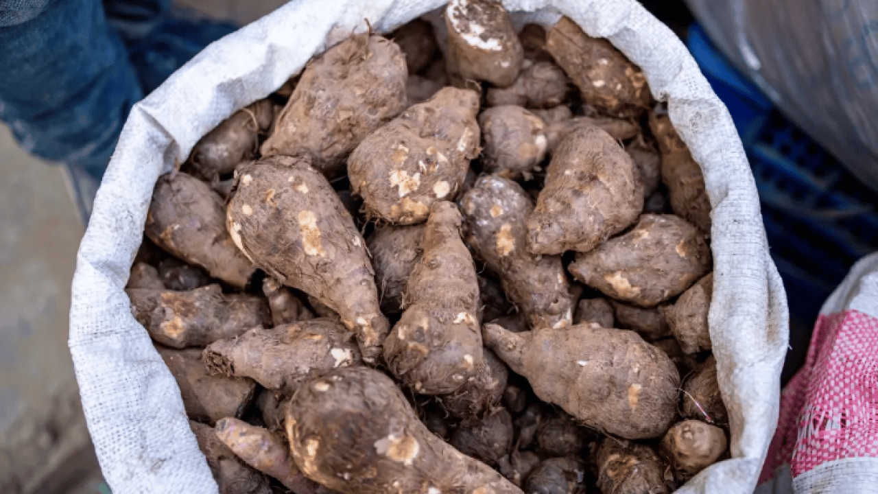 Foto - Aklınızdan bile geçirmeyin: İşte tekrar ısıtıldığında zehir olan 5 yiyecek!