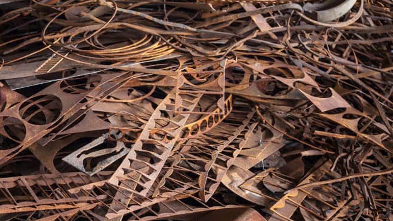 Foto - Akreplerin ölümcül sırrı ne açıkladılar! Ezber bozan gerçek... Herkes şaşırdı