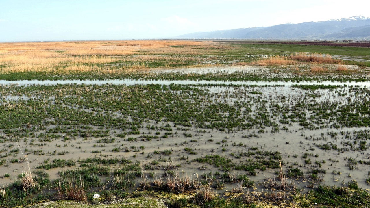 Foto - Akşehir Gölü’nde umut veren görüntü! Tam 8 yıl sonra su tutmaya başladı
