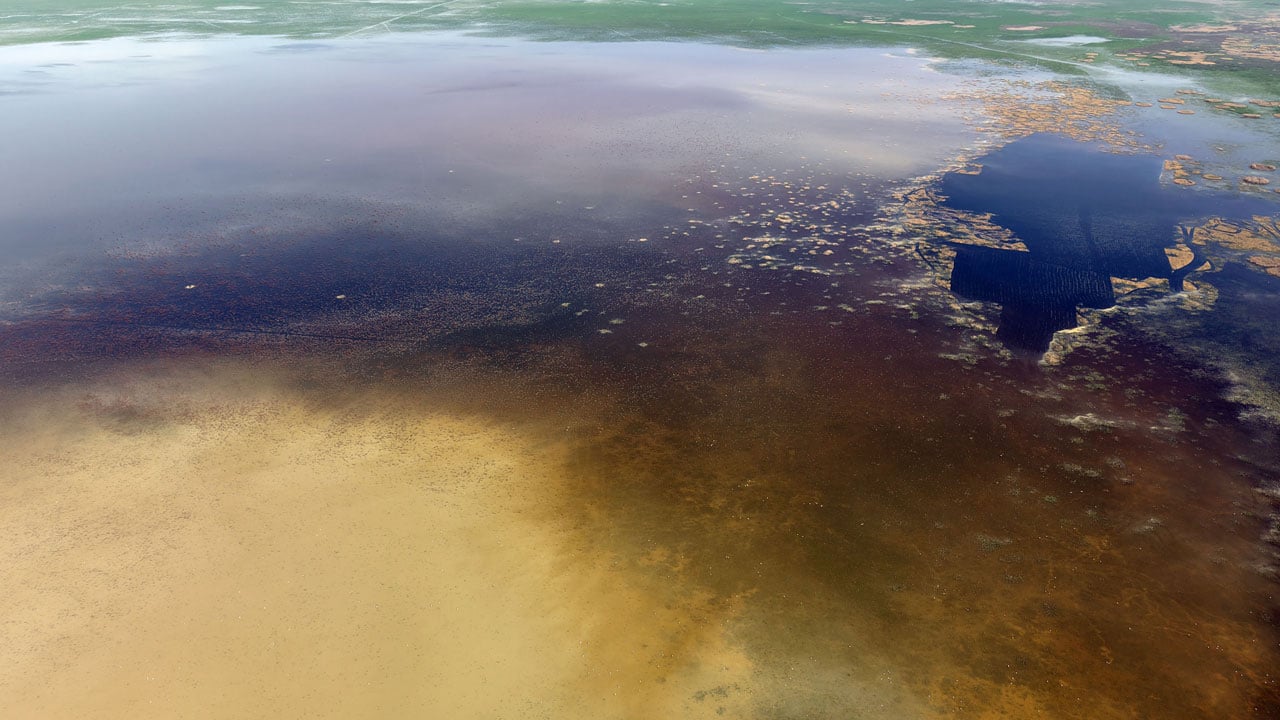 Foto - Akşehir Gölü’nde umut veren görüntü! Tam 8 yıl sonra su tutmaya başladı