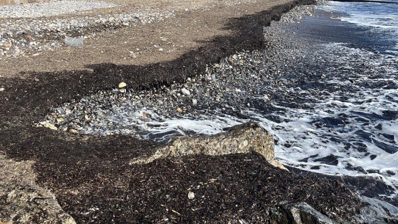 Foto - Alanya sahilinde denizdeki siyah tabaka korkuttu