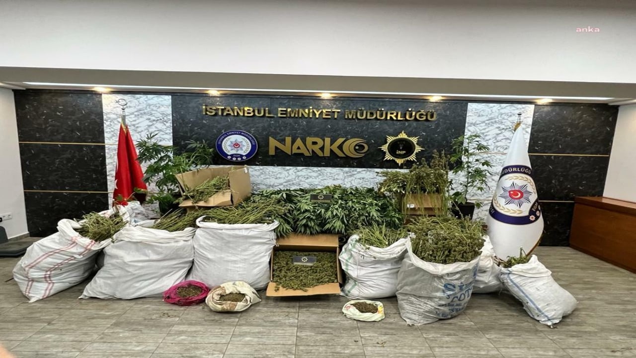 Foto - Ali Yerlikaya dev operasyonu duyurdu! Rakamlar gerçekten dehşet verici 