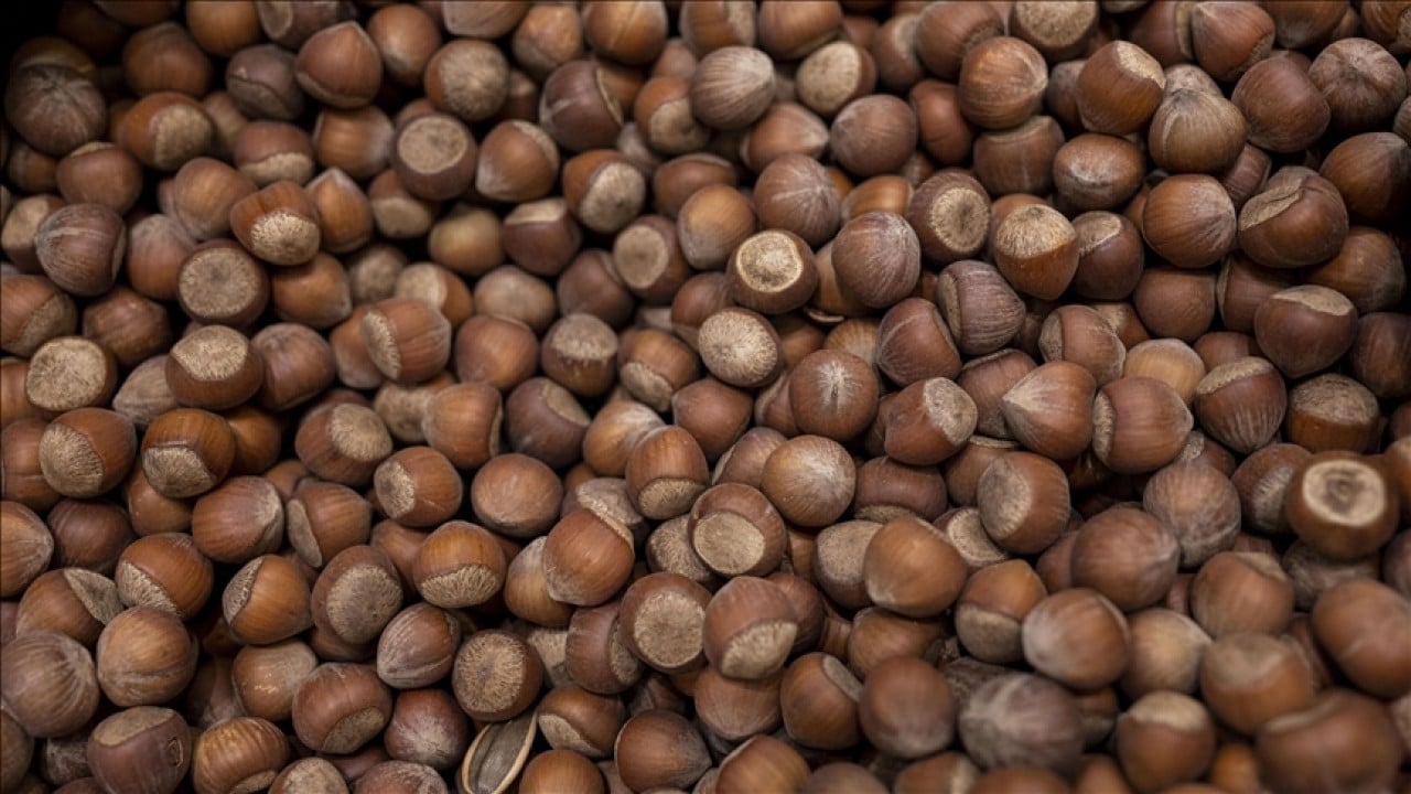 Foto - Alımı durdurmasının arkasındaki plan! Fındıkçılar Nutella'nın gizli ajandasını ifşaladı