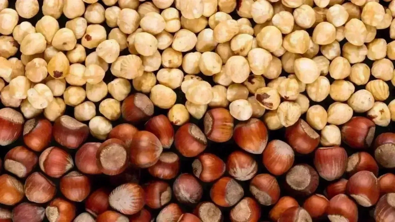 Foto - Alımı durdurmasının arkasındaki plan! Fındıkçılar Nutella'nın gizli ajandasını ifşaladı