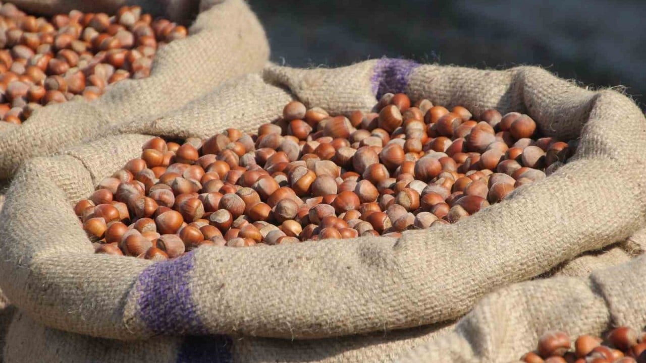 Foto - Alımı durdurmasının arkasındaki plan! Fındıkçılar Nutella'nın gizli ajandasını ifşaladı