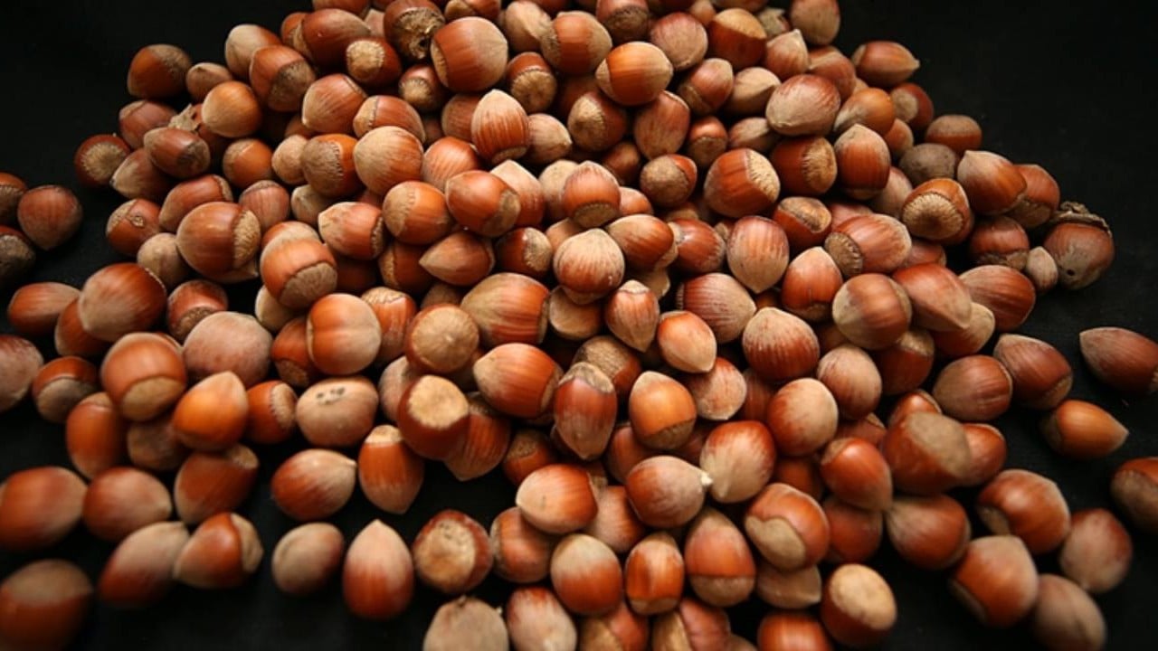 Foto - Alımı durdurmasının arkasındaki plan! Fındıkçılar Nutella'nın gizli ajandasını ifşaladı