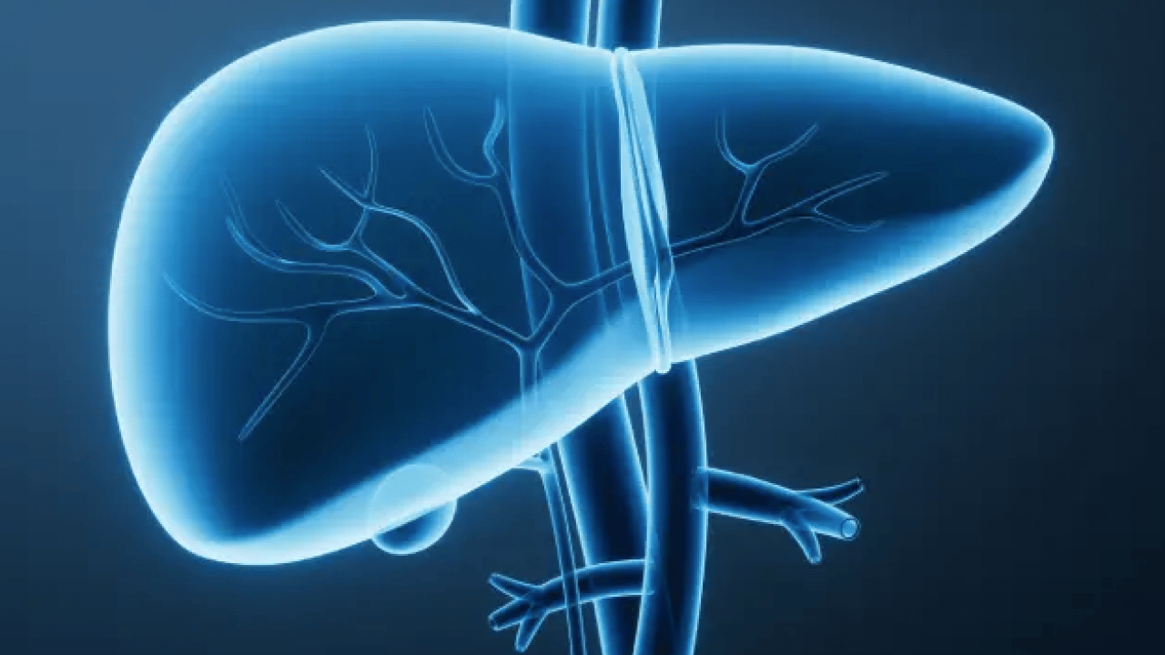 Foto - Alkol, karaciğerin düşmanı: Uzak tutun! Bu şekilde beslenirseniz tedavisi mümkün! İşte o yiyecekler