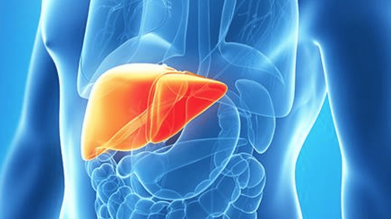 Foto - Alkol, karaciğerin düşmanı: Uzak tutun! Bu şekilde beslenirseniz tedavisi mümkün! İşte o yiyecekler