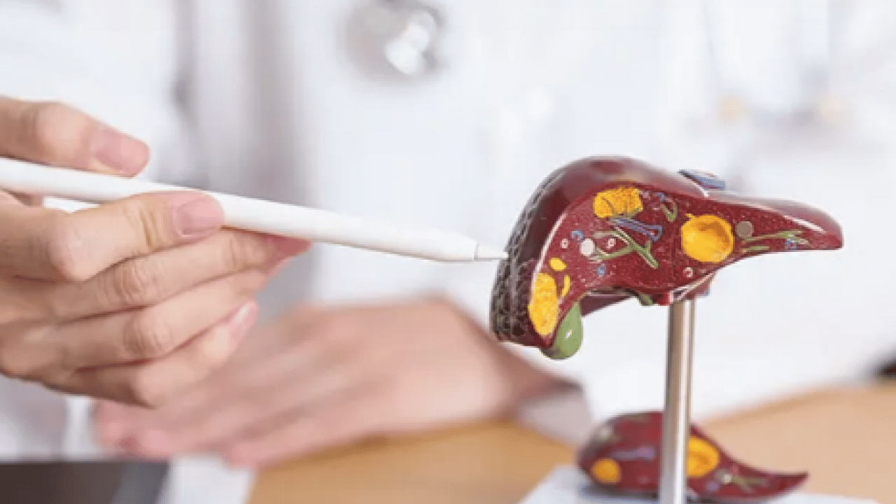 Foto - Alkol, karaciğerin düşmanı: Uzak tutun! Bu şekilde beslenirseniz tedavisi mümkün! İşte o yiyecekler