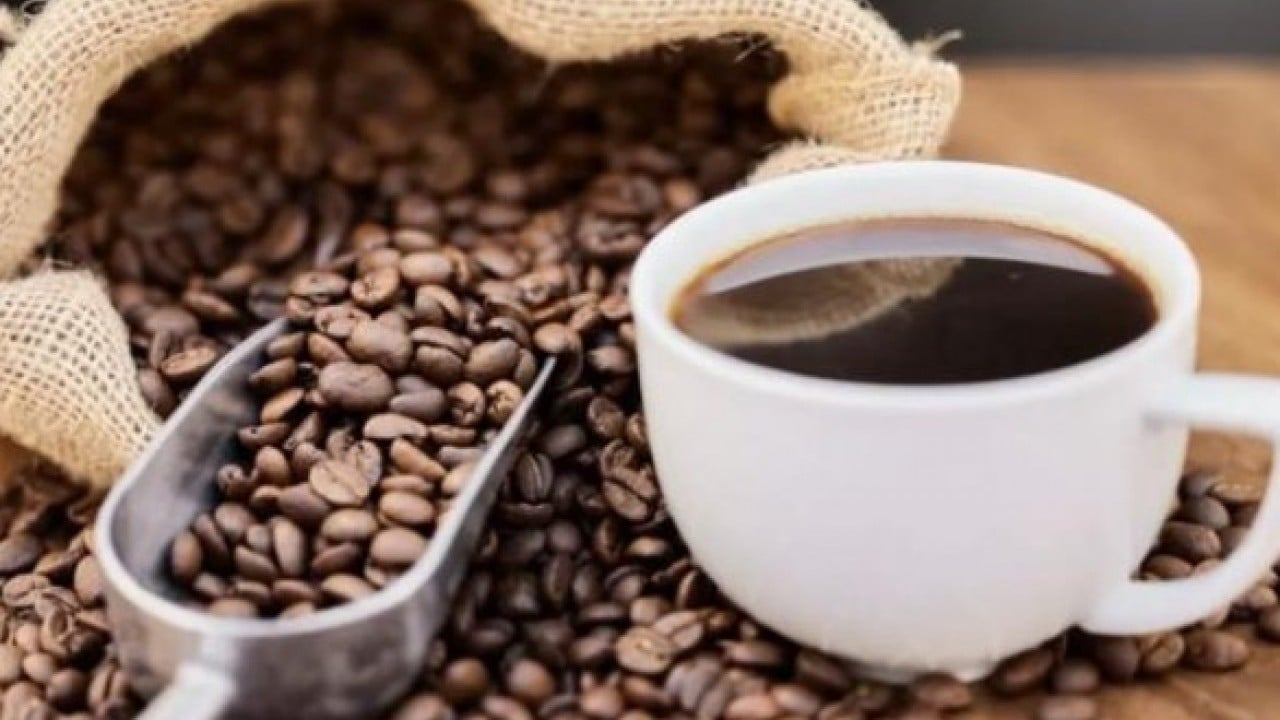 Foto - Almak için sıraya giriyorlar! Bu kahvenin fincanı 42 bin TL