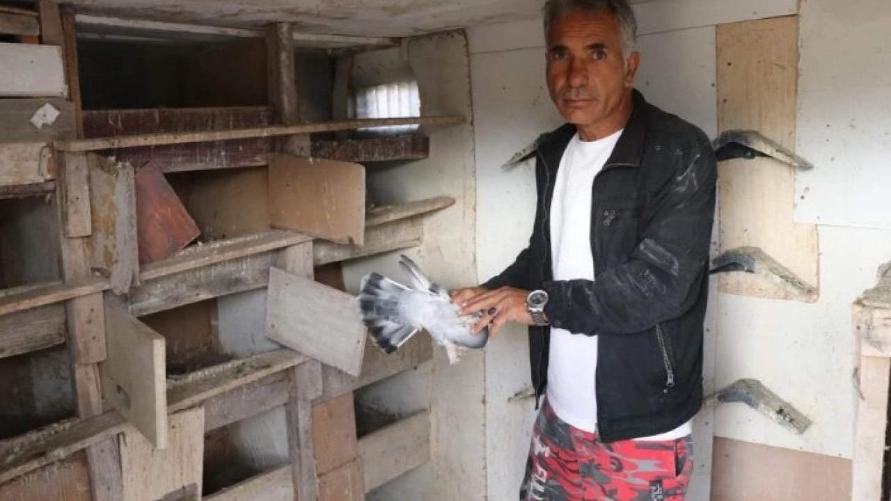 Foto - Almak için sıraya giriyorlar! ‘Sivas Kuşu'nun değeri dudak uçuklatıyor