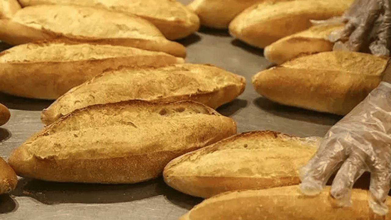 Almanlar neden her öğünde ekmek yiyor? İşte şaşırtan sebebi