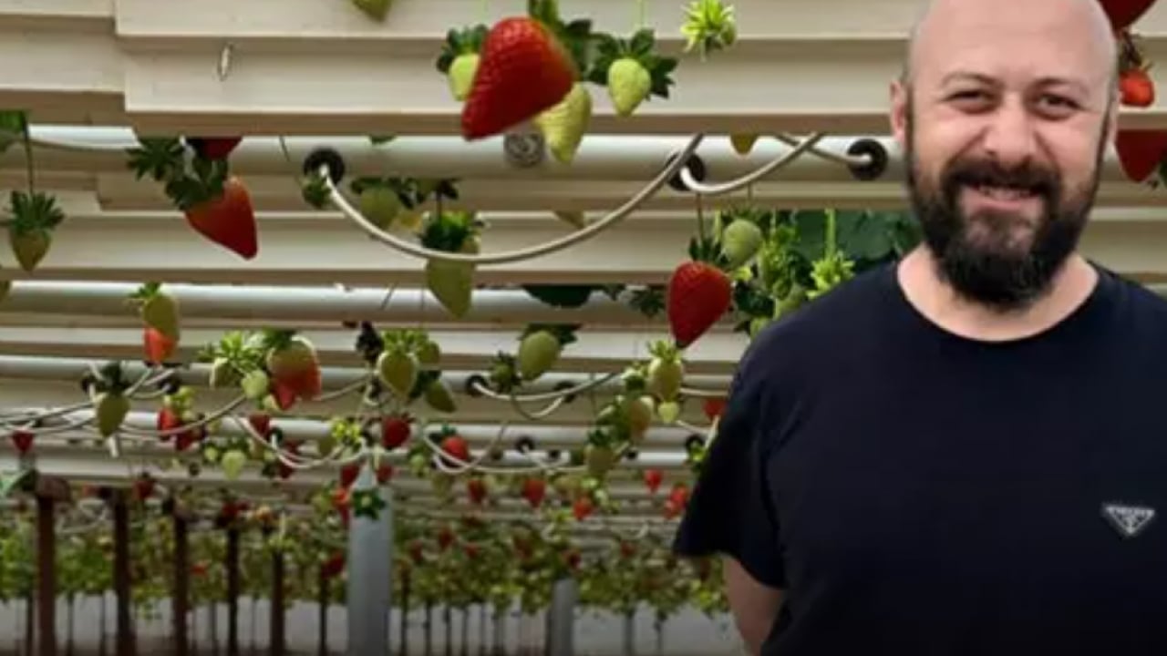 Almanya'da öğrendi Türkiye'de hayata geçirdi! Topraksız üretime başladı!