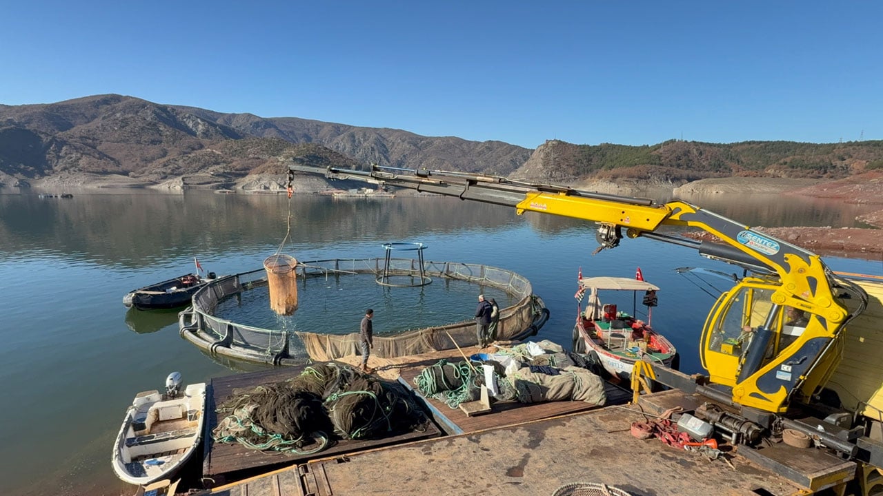 Foto - Almus'un kuzuları… Denizi bile yok ama okyanusların ötesine ulaşıyor!