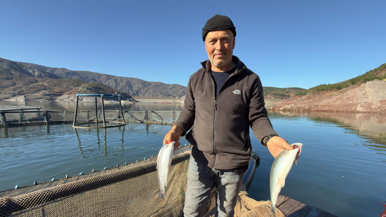 Foto - Almus'un kuzuları… Denizi bile yok ama okyanusların ötesine ulaşıyor!