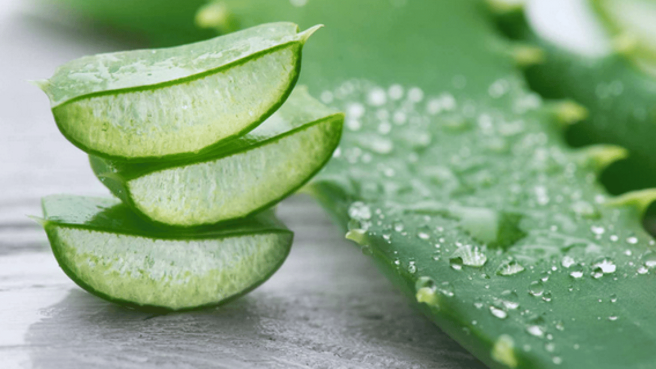 Foto - Şampuan kel bırakıyor diyenler bunu yapın!