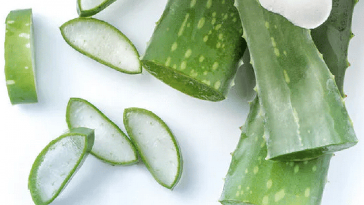 Foto - Şampuan kel bırakıyor diyenler bunu yapın!