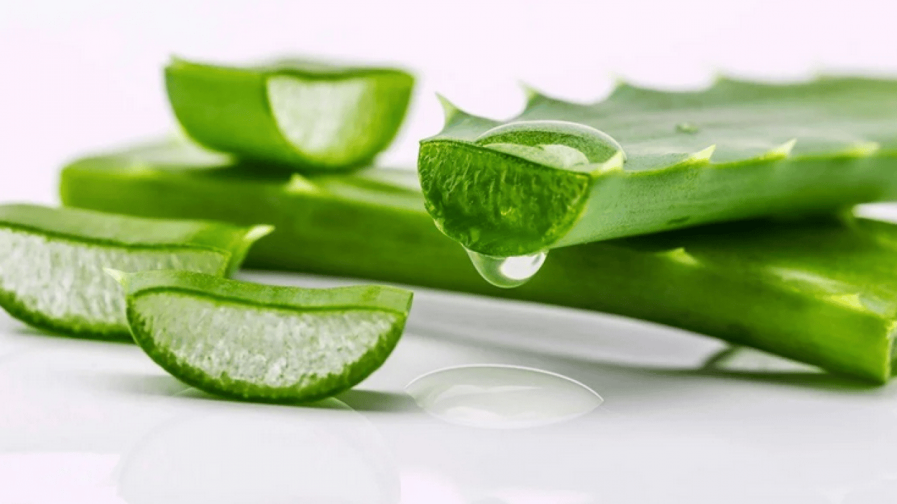 Foto - Şampuan kel bırakıyor diyenler bunu yapın!