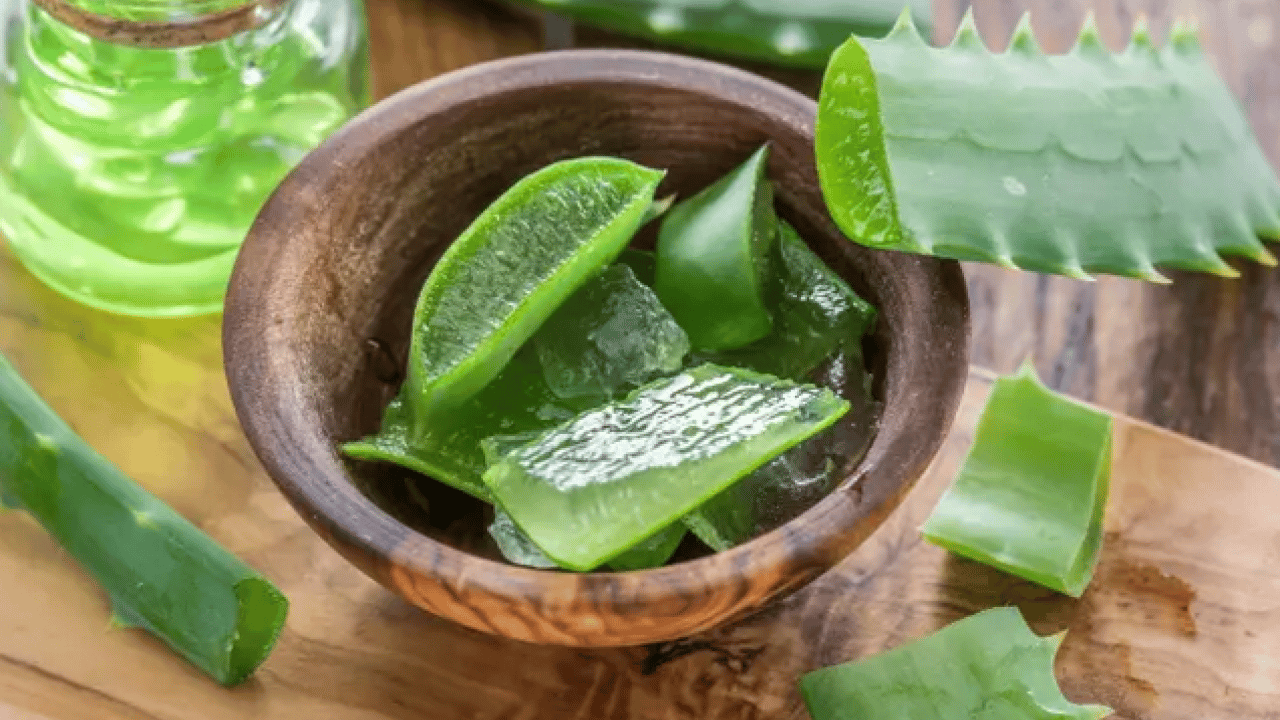 Foto - Şampuan kel bırakıyor diyenler bunu yapın!