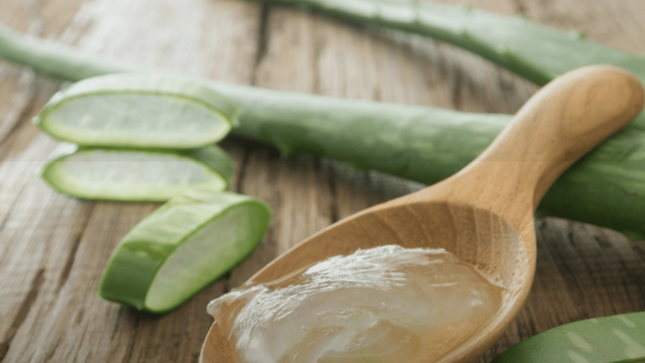 Foto - Şampuan kel bırakıyor diyenler bunu yapın!