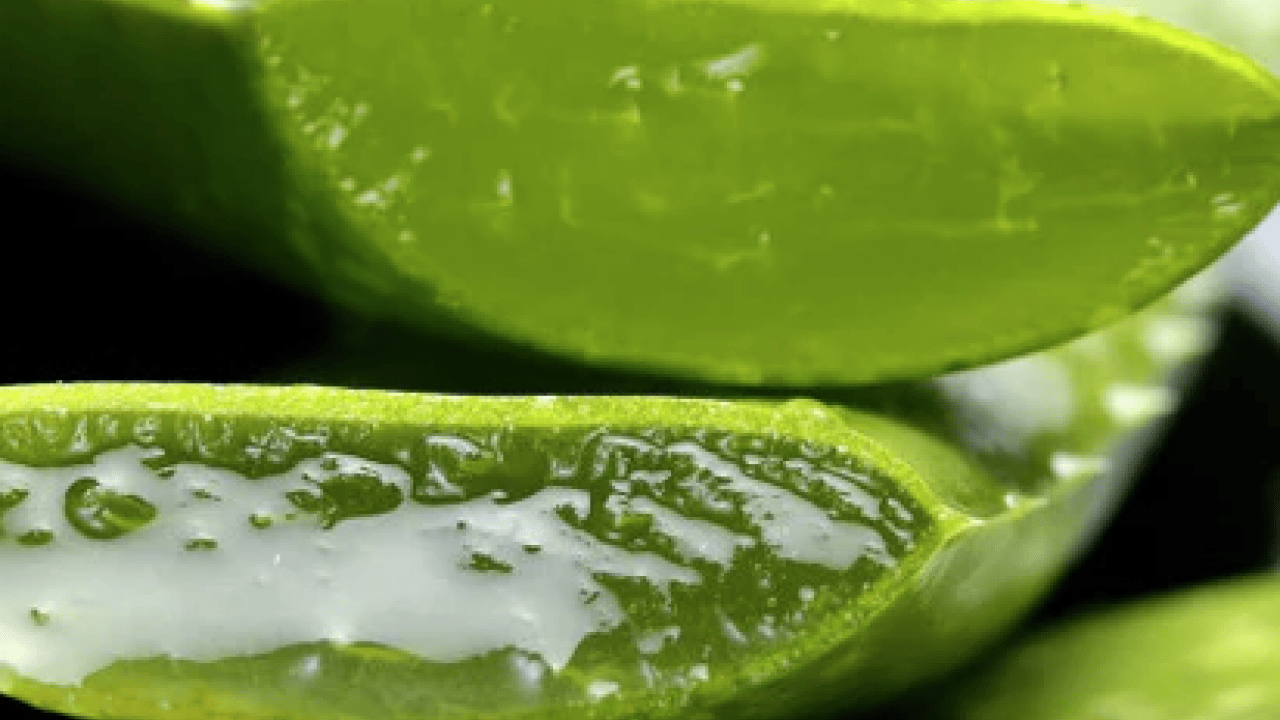 Foto - Şampuan kel bırakıyor diyenler bunu yapın!