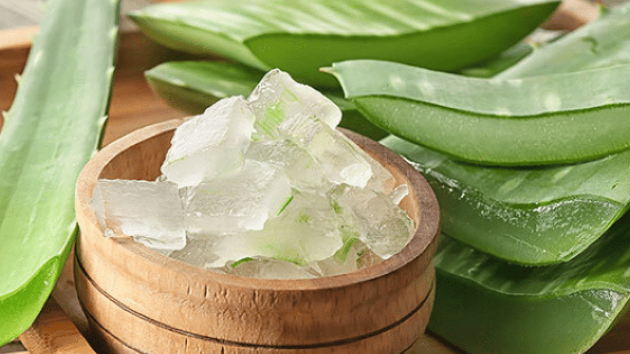 Şampuan kel bırakıyor diyenler bunu yapın!