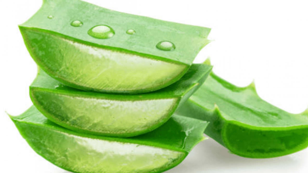 Foto - Şampuan kel bırakıyor diyenler bunu yapın!