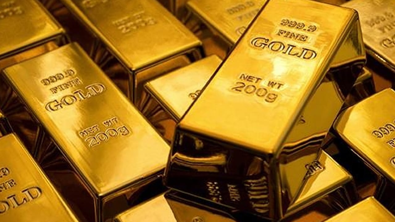 Foto - Altın aramak denince akla hep yerin altı gelir ama bu defa altın ağaçlardan çıkıyor