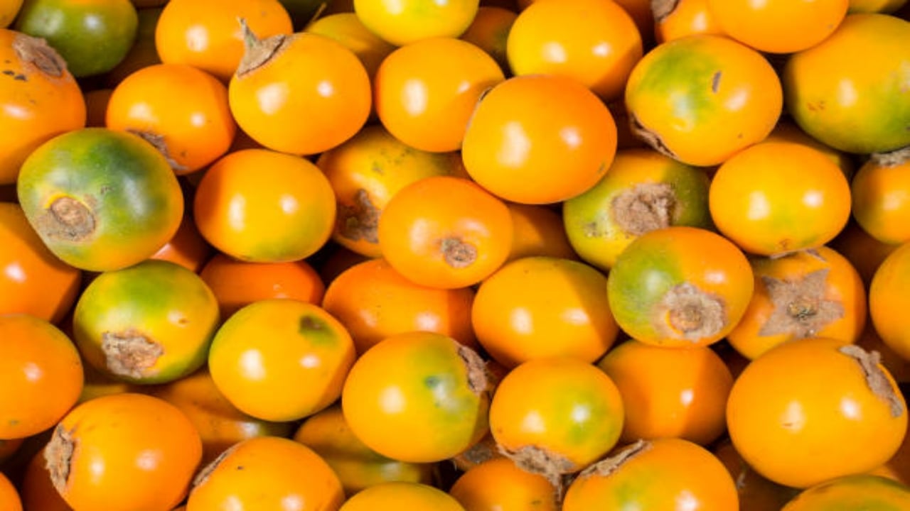 Foto - Altından daha değerli! Bu meyvenin ülke dışına çıkarılması yasak