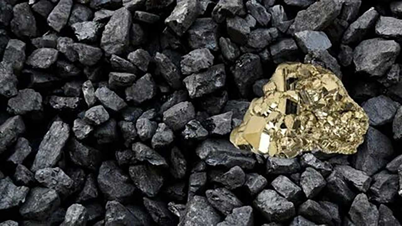 Foto - Altını solladı! Savaş başladı kömür uçtu