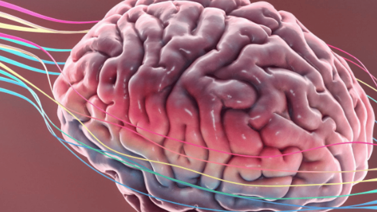 Foto - Alzheimer'la ilgili önemli detayı uzmanlar ortaya çıkardı!