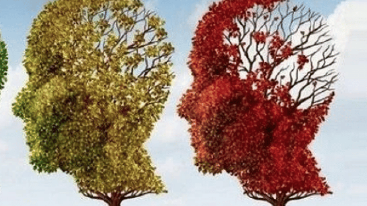 Foto - Alzheimer'la ilgili önemli detayı uzmanlar ortaya çıkardı!